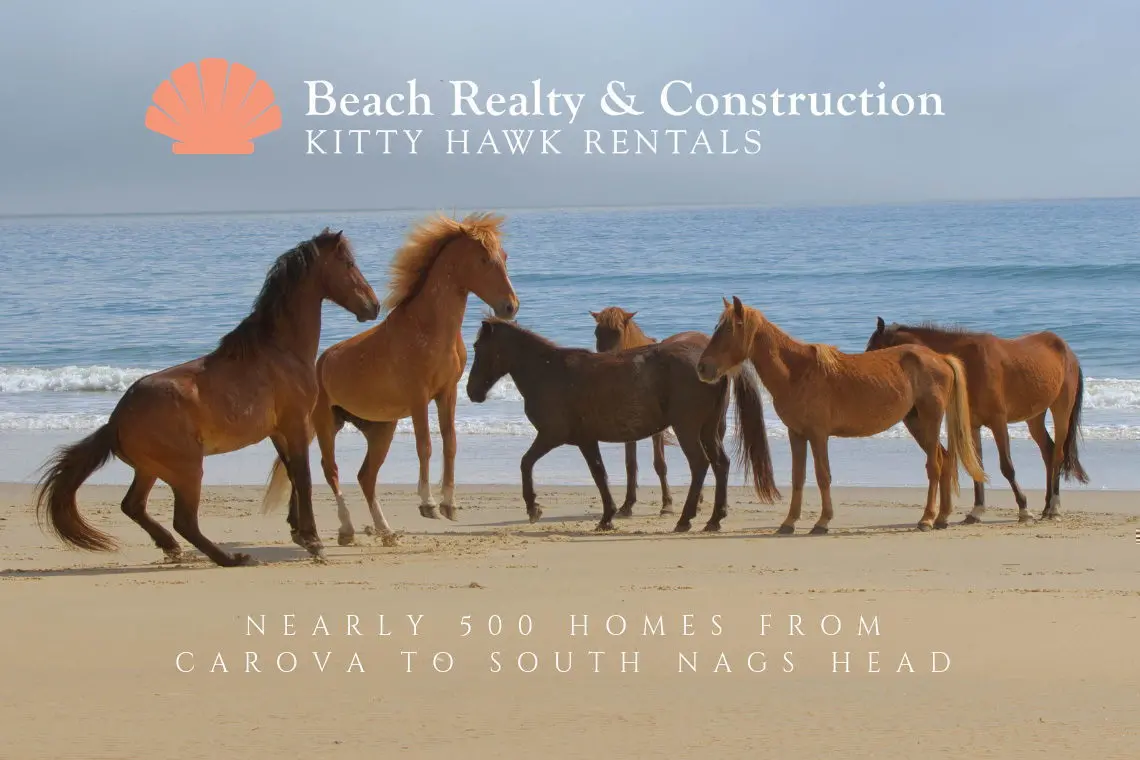 Beach Realty and Construction